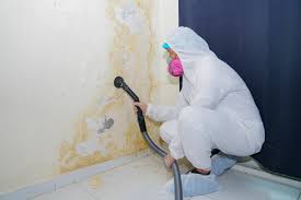 Best Mold Documentation for Insurance Claims in Norwalk, OH